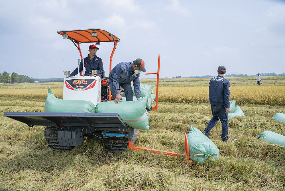 Rice Harvester with Integrated 2 Rice-Lifting Tables